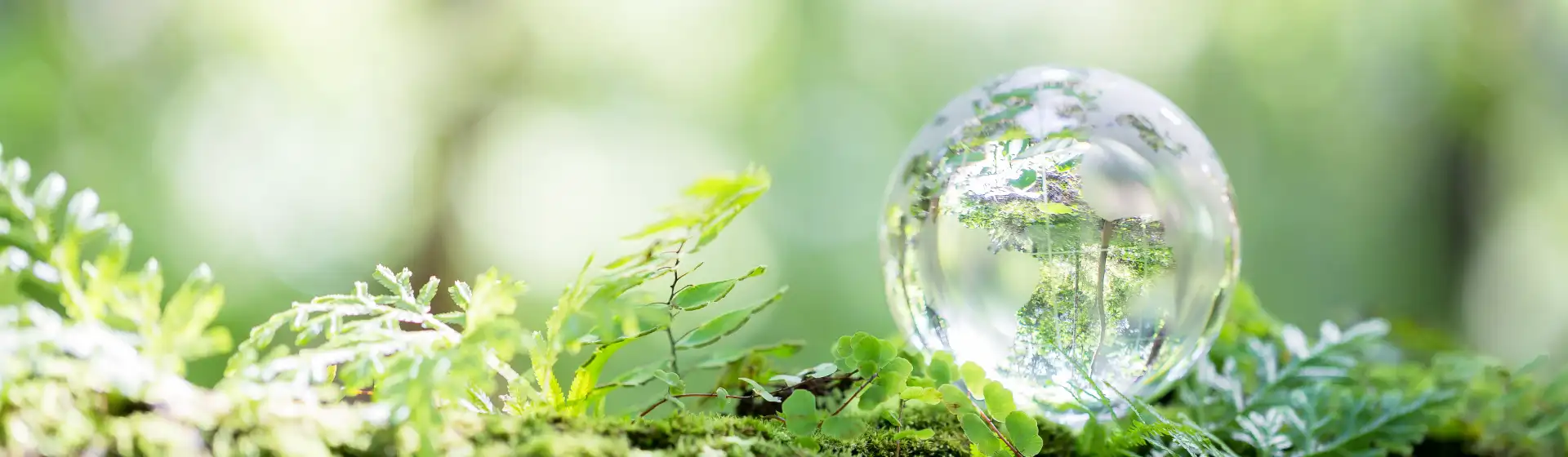 Green Earth