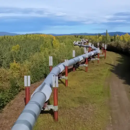 Pipelines