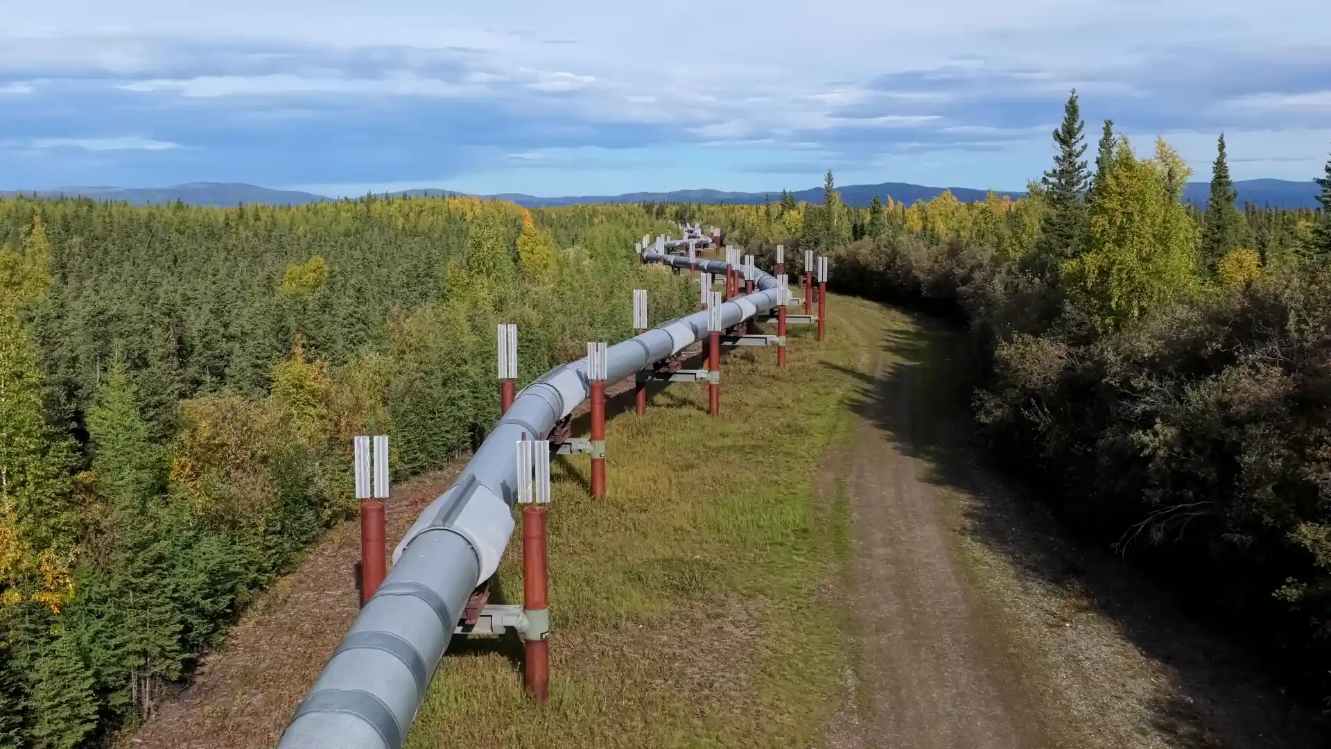Pipelines